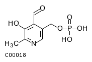 pyridoxal 5'-phosphate