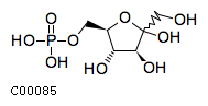 keto-D-fructose 6-phosphate