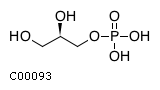 sn-glycerol 3-phosphate