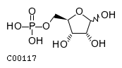 aldehydo-D-ribose 5-phosphate