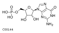 guanosine 5'-monophosphate