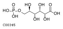 6-phospho-D-gluconic acid