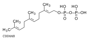 2-trans,6-trans-farnesyl diphosphate
