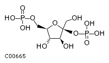 beta-D-fructofuranose 2,6-bisphosphate