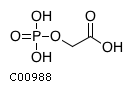 2-phosphoglycolic acid