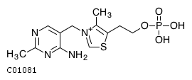 thiamine(1+) monophosphate