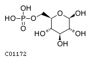 beta-D-glucose 6-phosphate