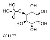 1D-myo-inositol 1-phosphate