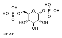 alpha-D-glucose 1,6-bisphosphate