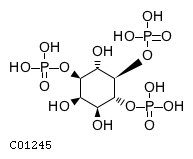 1D-myo-inositol 1,4,5-trisphosphate