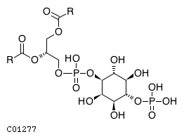 1-phosphatidyl-1D-myo-inositol 4-phosphate