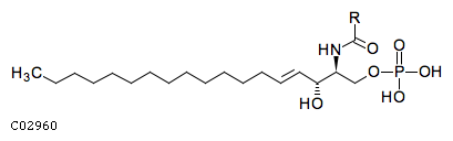N-acylsphingosine 1-phosphate