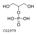glycerol 2-phosphate