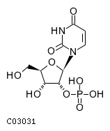 uridine 2'-phosphate