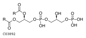 1-(3-sn-phosphatidyl)-sn-glycerol 3-phosphate