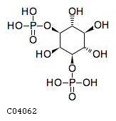 myo-inositol 1,3-bisphosphate