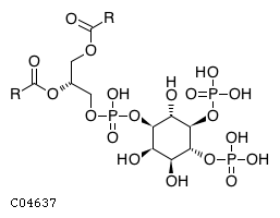 1-phosphatidyl-1D-myo-inositol 4,5-bisphosphate