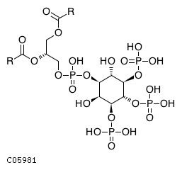 1-phosphatidyl-1D-myo-inositol 3,4,5-trisphosphate