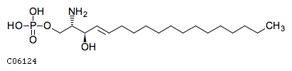 sphingosine 1-phosphate