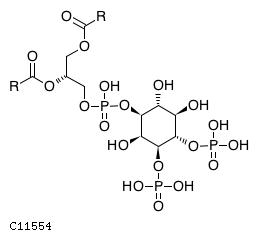 1-phosphatidyl-1D-myo-inositol 3,4-bisphosphate