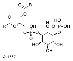 1-phosphatidyl-1D-myo-inositol 5-phosphate