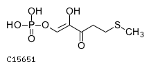 2-hydroxy-5-(methylsulfanyl)-3-oxopent-1-enyl phosphate